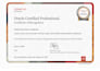 provide expert oracle fusion financials and ebs consulting